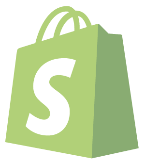 shopify store development south africa